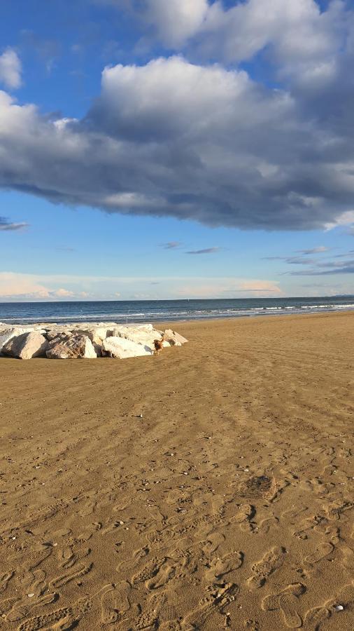 Piagge Bnb Fano Collina. La Pace Di Una Vacanza المظهر الخارجي الصورة