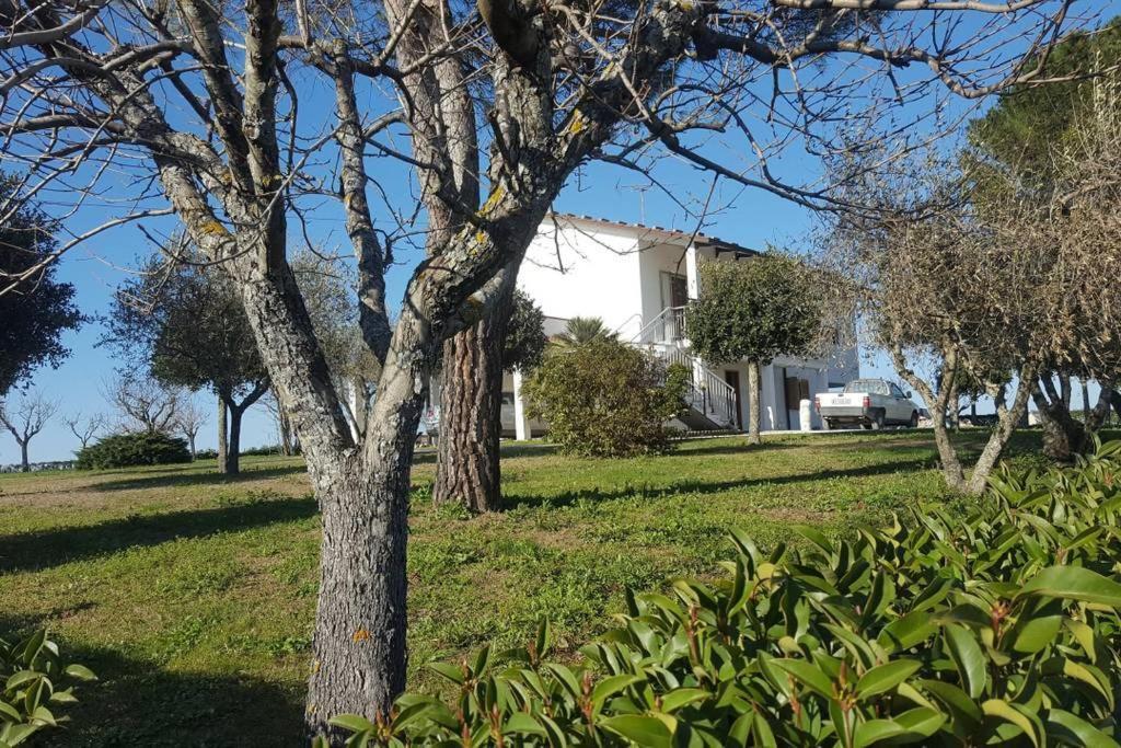 Piagge Bnb Fano Collina. La Pace Di Una Vacanza المظهر الخارجي الصورة